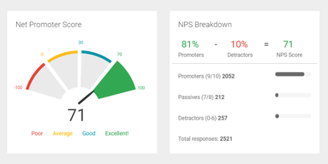 Screenshot of Net Promoter Score Summary Breakdown